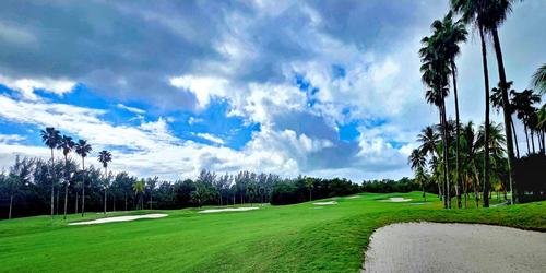 golf article